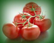 Wine Tomatoes